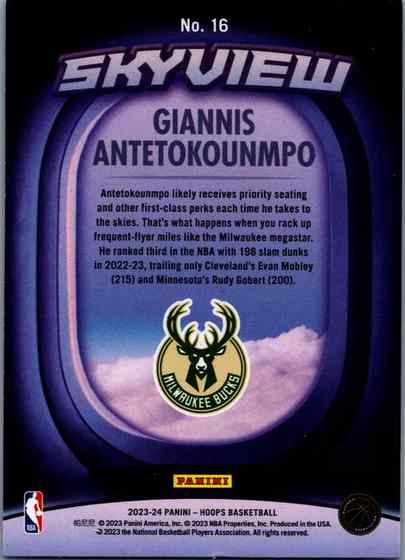 NBA.1-0074 back